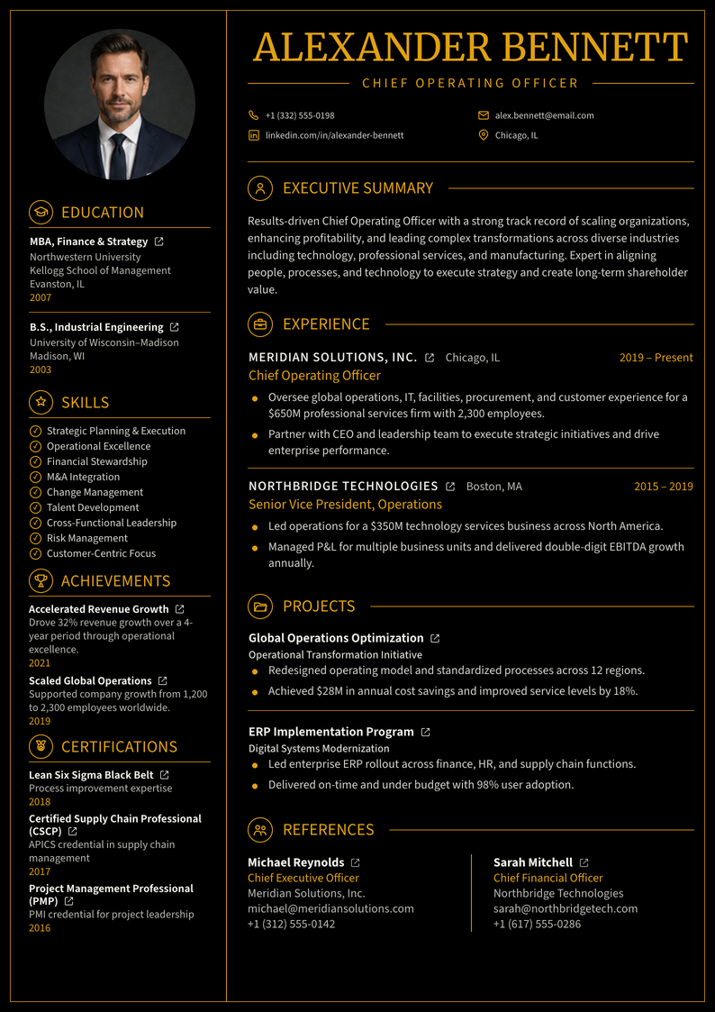 meritCV template preview