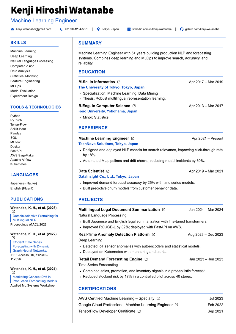 meritCV template option