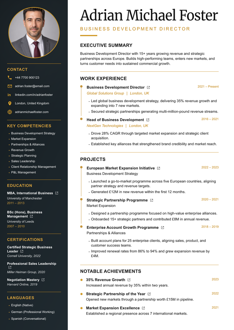 meritCV template preview
